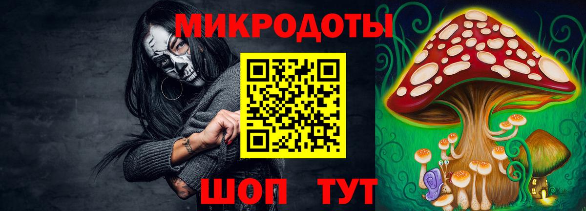закладки  Псилоцибиновые грибы Psilocybine cubensis  Вязники  Вход с VPN  Псилоцибиновые грибы Magic Shrooms 
